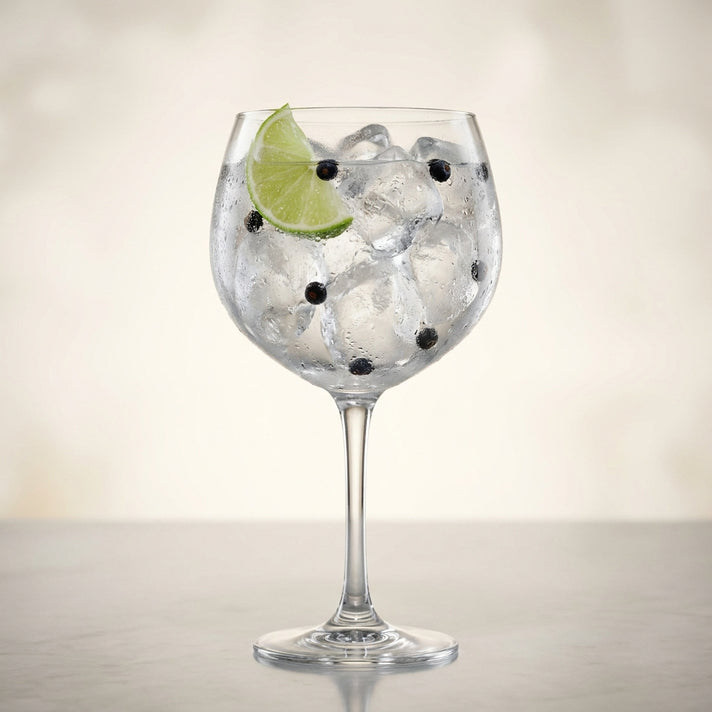 Gin & Tonic
